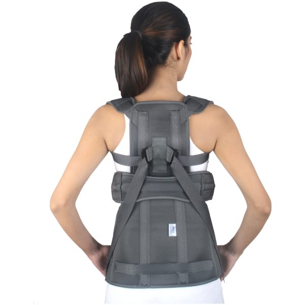 Alex ® - Ceinture Dorso-Lombaire